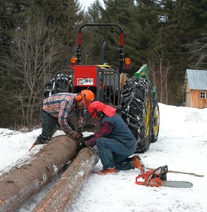 logging